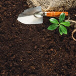 10 έξυπνοι τρόποι οργάνωσης του σπιτιού σας. Η εικόνα δείχνει εργαλεία κήπου πάνω σε χώμα