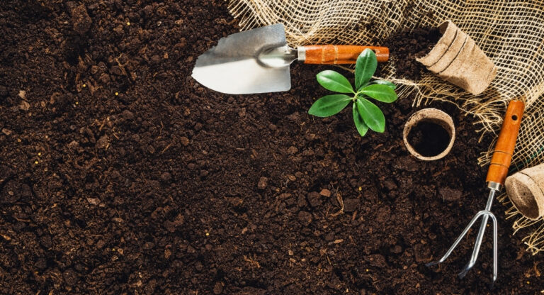 10 έξυπνοι τρόποι οργάνωσης του σπιτιού σας. Η εικόνα δείχνει εργαλεία κήπου πάνω σε χώμα