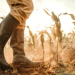 Τα καλύτερα εργαλεία για μικρούς αγρότες. Η εικόνα δείχνει μπότες αγρότη σε ένα χωράφι.