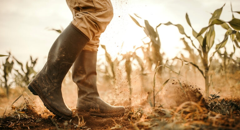Τα καλύτερα εργαλεία για μικρούς αγρότες. Η εικόνα δείχνει μπότες αγρότη σε ένα χωράφι.