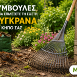τσουγκράνα