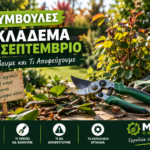 Κλάδεμα τον Σεπτέμβριο